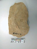 藏品(中型舌刃打製石斧)的圖片